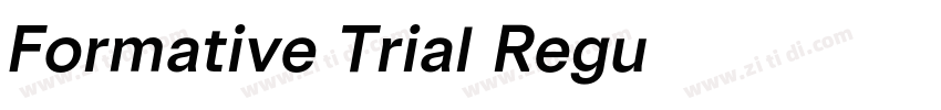 Formative Trial Regu字体转换